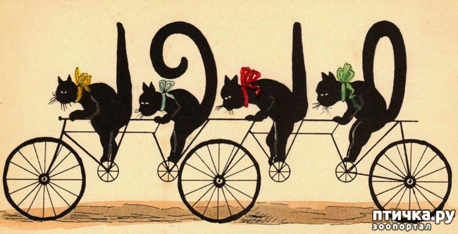 ���� 4: �������. 13��. ����. ׸���� ��� (��� �����).