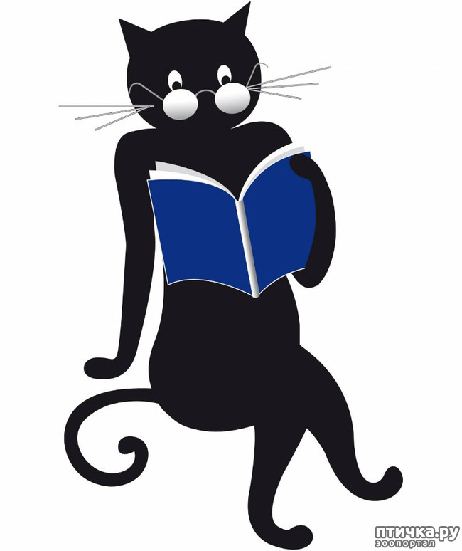 ���� 6: �������. 13��. ����. ׸���� ��� (��� �����).