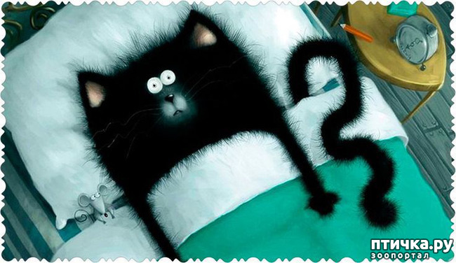 ���� 5: �������. 13��. ����. ׸���� ��� (��� �����).