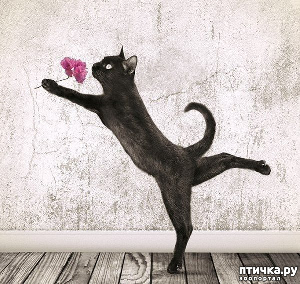 ���� 9: �������. 13��. ����. ׸���� ��� (��� �����).