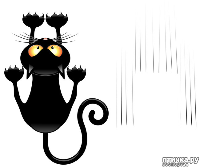 ���� 12: �������. 13��. ����. ׸���� ��� (��� �����).