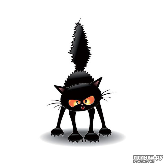 ���� 10: �������. 13��. ����. ׸���� ��� (��� �����).