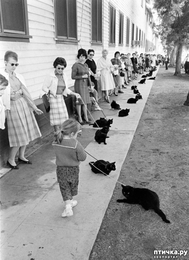 ���� 14: �������. 13��. ����. ׸���� ��� (��� �����).