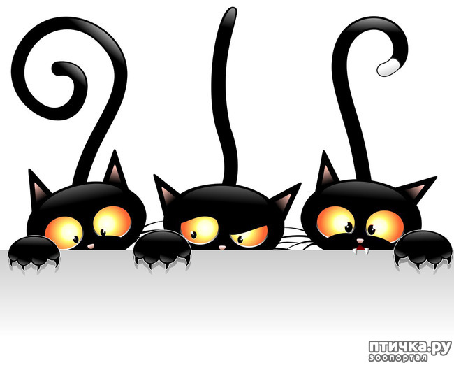 ���� 13: �������. 13��. ����. ׸���� ��� (��� �����).