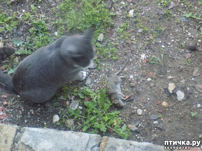 ���� 6: ������� ������� ��������