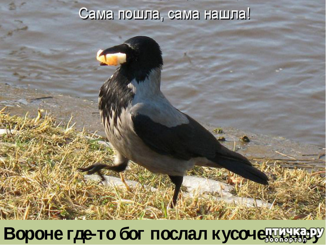 ���� 2: �������� ������