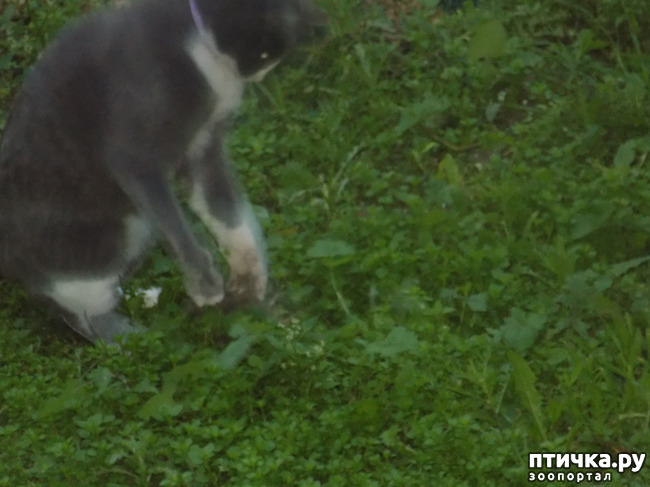 ���� 5: ������� ������� ��������