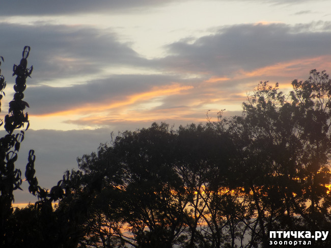 ���� 4: ������� ������� ��������