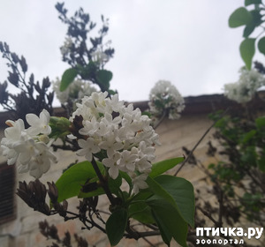 ����: ������� ������� ��������