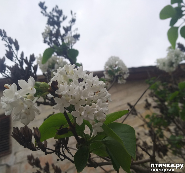 ���� 1: ������� ������� ��������