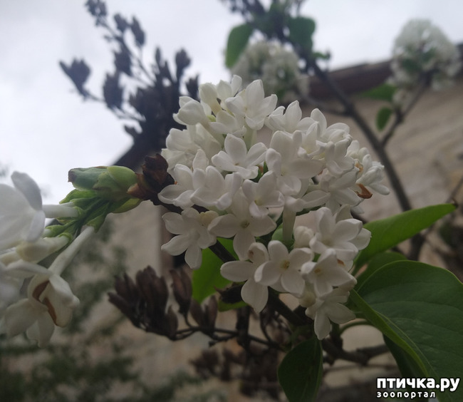 ���� 2: ������� ������� ��������