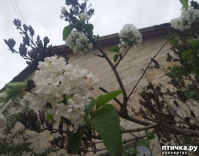 ���� 3: ������� ������� ��������