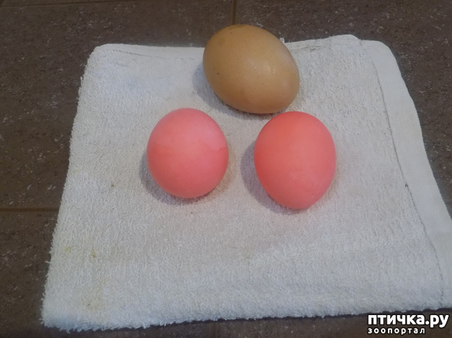 ���� 8: ������� ������� ��������