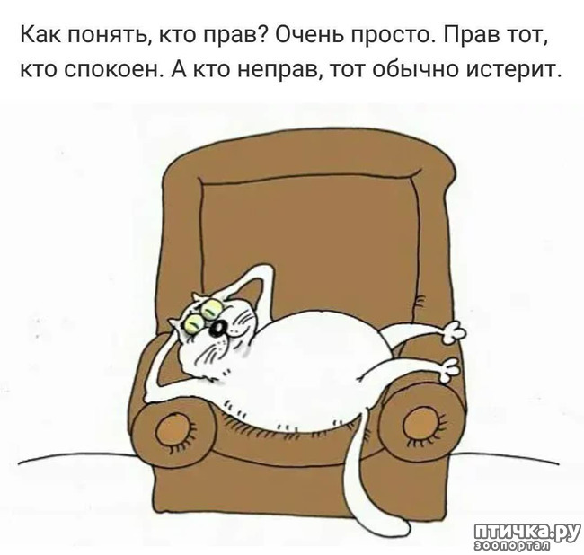 ���� 4: ����� �����. �������