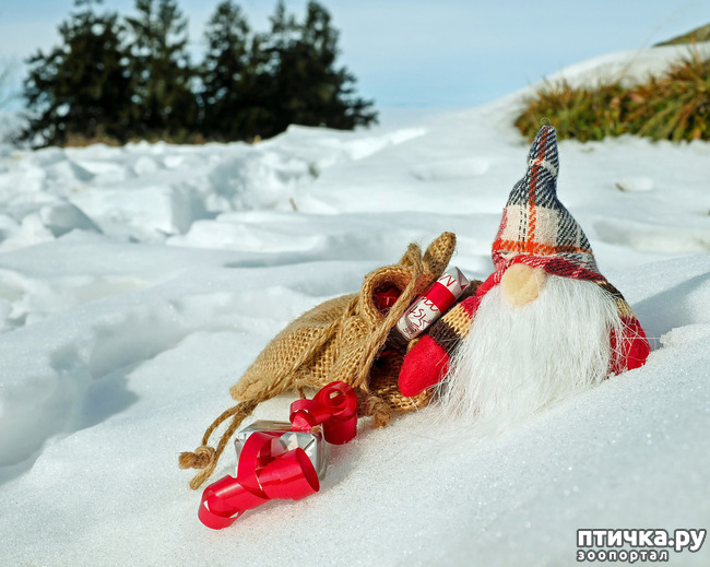 ���� 1: ��������� ���� ������ 2021! �������������.