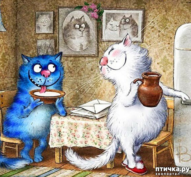 ���� 1: ����� �����. �������