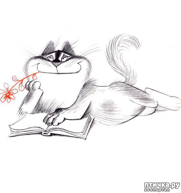 ���� 5: ����� �����. �������