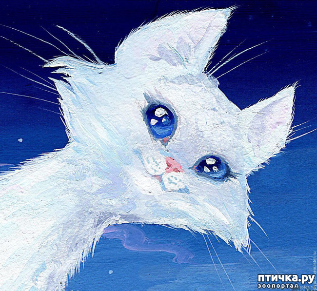 ���� 2: ����� �����. �������