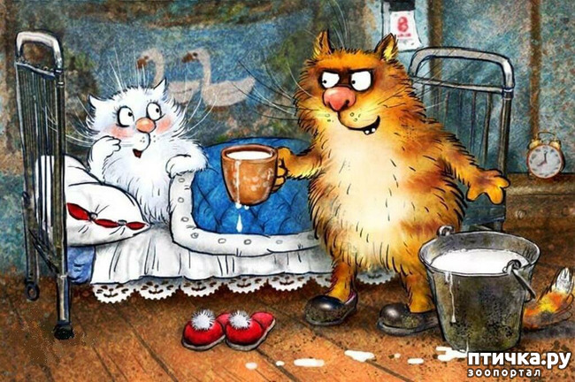 ���� 13: ����� �����. �������