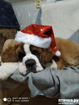 ����: ���������� ������.