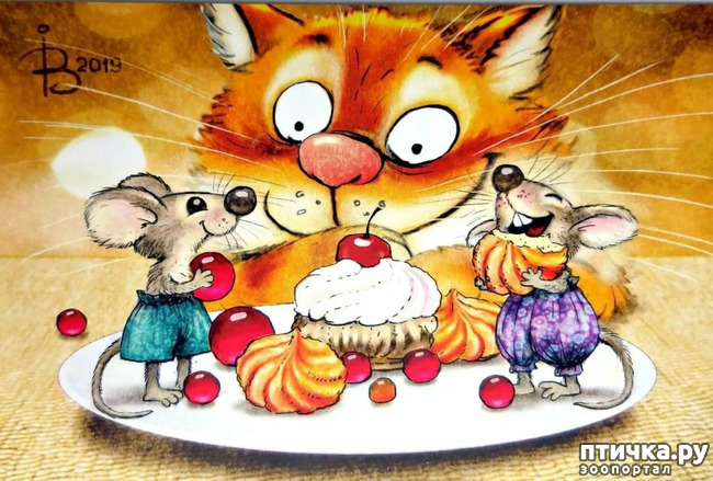 ���� 7: ����� �����. �������