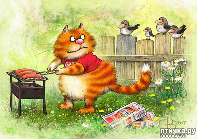 ���� 15: ����� �����. �������