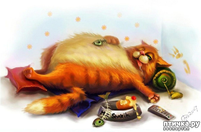 ���� 17: ����� �����. �������