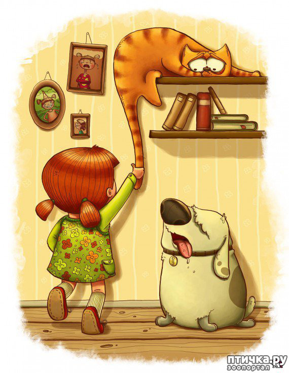 ���� 6: ����� �����. �������