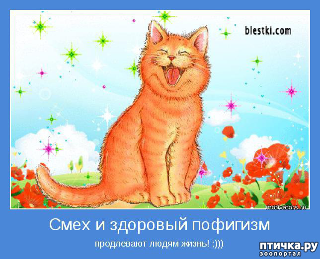 ���� 18: ����� �����. �������