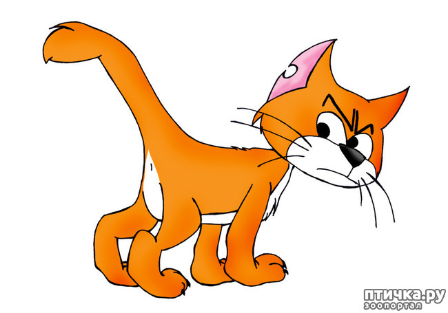 ���� 10: ����� �����. �������