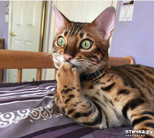 ���� 1: �������, ������� ������� ���� ������������� ������ ������������ �����: