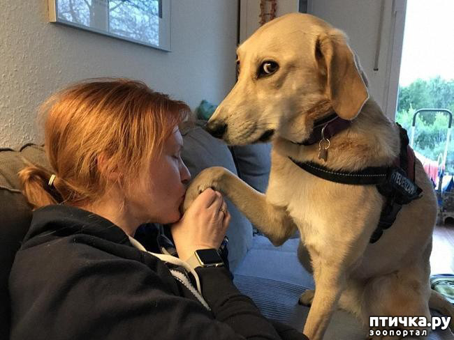 ���� 2: �������, ������� ������� ���� ������������� ������ ������������ �����: