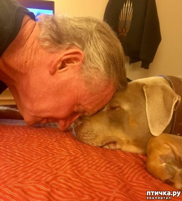 ���� 3: �������, ������� ������� ���� ������������� ������ ������������ �����: