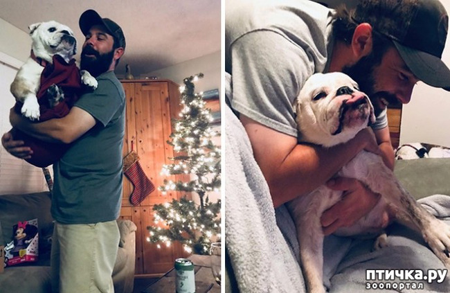 ���� 4: �������, ������� ������� ���� ������������� ������ ������������ �����: