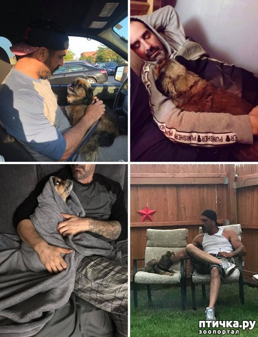 ���� 5: �������, ������� ������� ���� ������������� ������ ������������ �����: