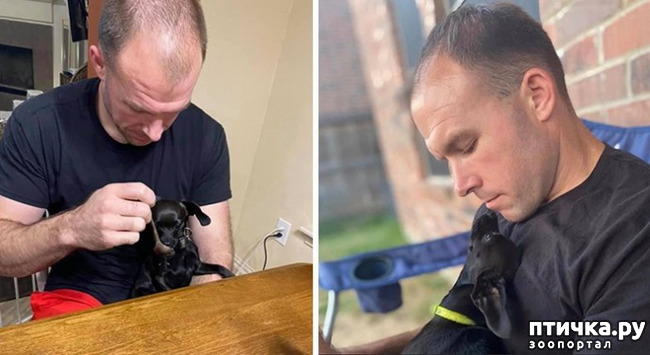 ���� 6: �������, ������� ������� ���� ������������� ������ ������������ �����: