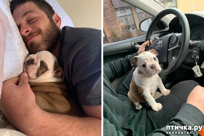 ���� 7: �������, ������� ������� ���� ������������� ������ ������������ �����: