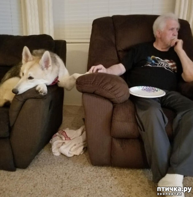 ���� 8: �������, ������� ������� ���� ������������� ������ ������������ �����: