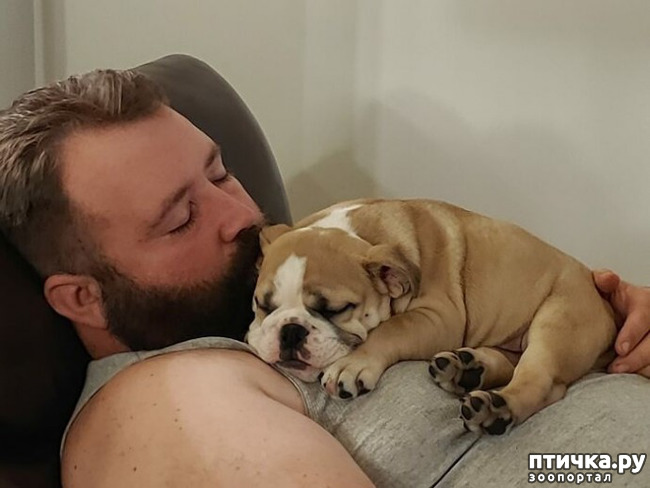 ���� 9: �������, ������� ������� ���� ������������� ������ ������������ �����: