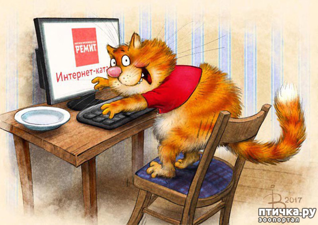 ���� 1: ����� �����. �������