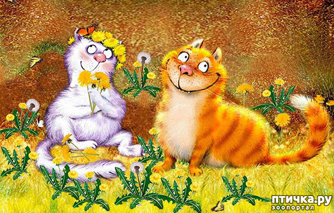 ���� 4: ����� �����. �������