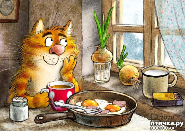 ���� 5: ����� �����. �������