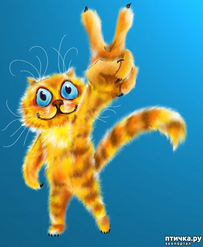 ���� 9: ����� �����. �������