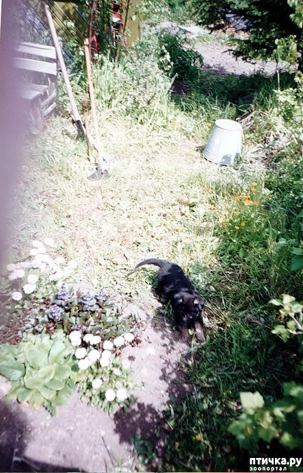 ���� 22: �� � ���� ��������