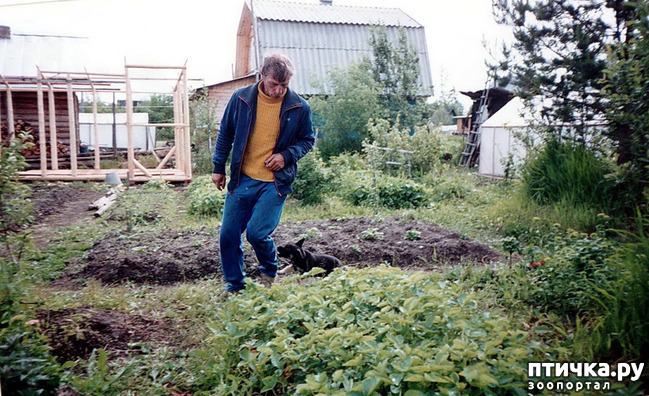 ���� 23: �� � ���� ��������