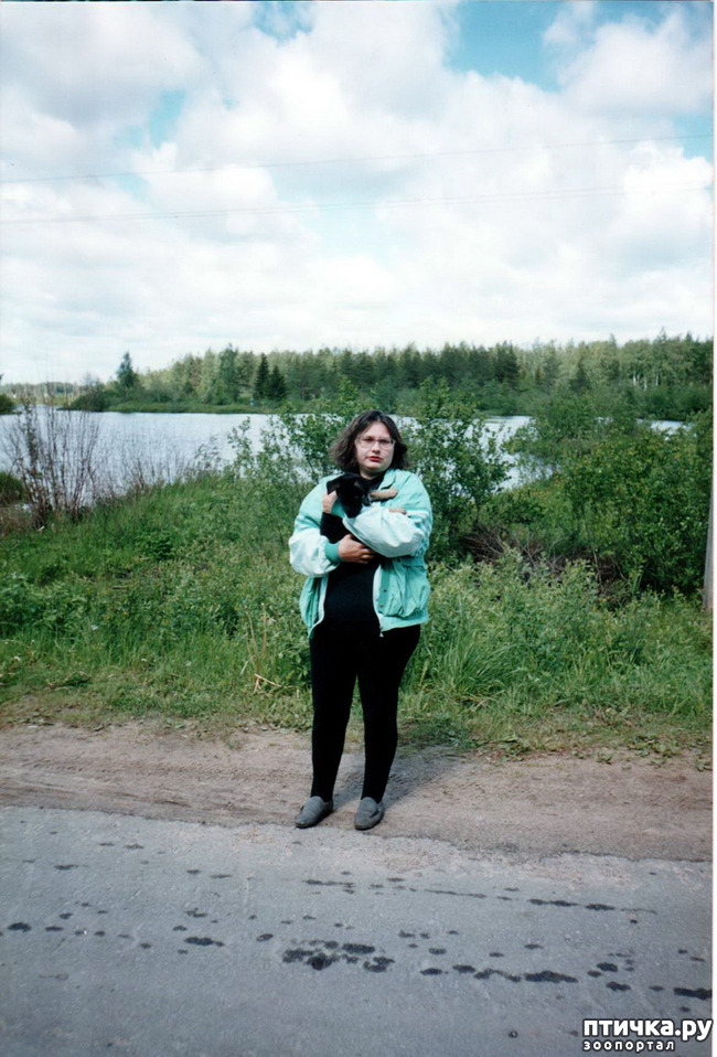 ���� 17: �� � ���� ��������