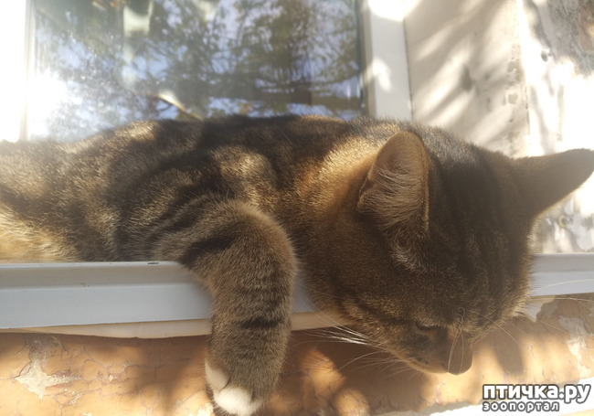 ���� 3: ��������!!! ����������!!!