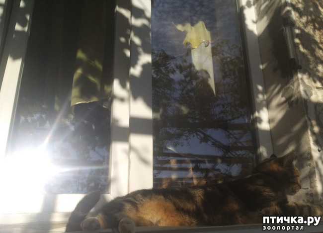 ���� 5: ��������!!! ����������!!!