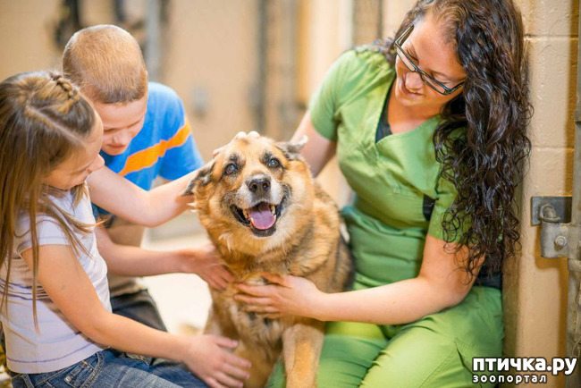 ���� 1: ��� ��������� ��������� �� �������?