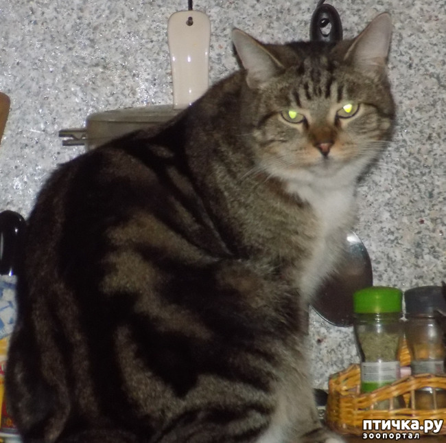 ���� 6: ��������!!! ����������!!!